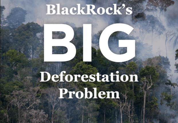 trees burning in a forest, white text superimposed reading "BlackRock's BIG Deforestation Problem" with the word Big significantly larger than rest of the text